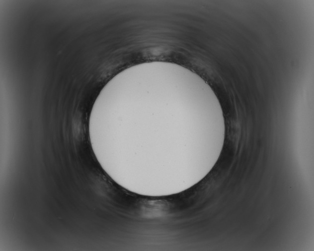 X0000086910324200705071309