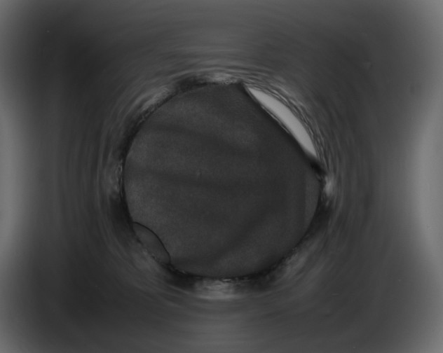 X0000086910325200705071309