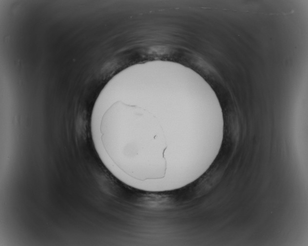 X0000086910328200705071309