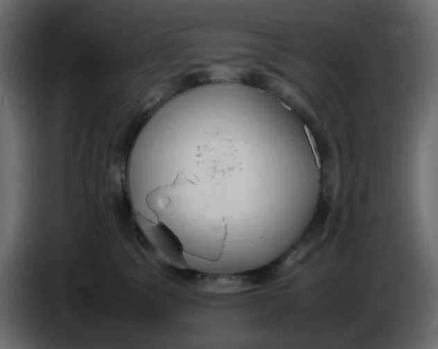 X0000086910329200705071309