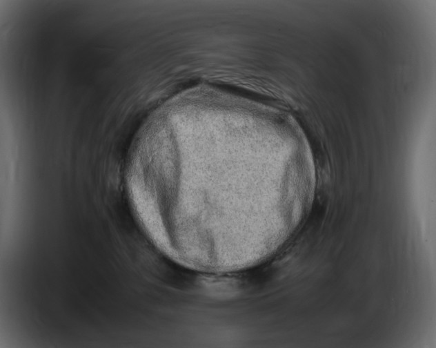 X0000086910331200705071309