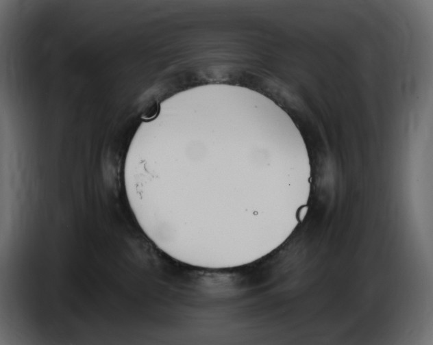 X0000086910332200705071309