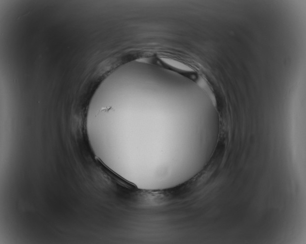 X0000086910333200705071309