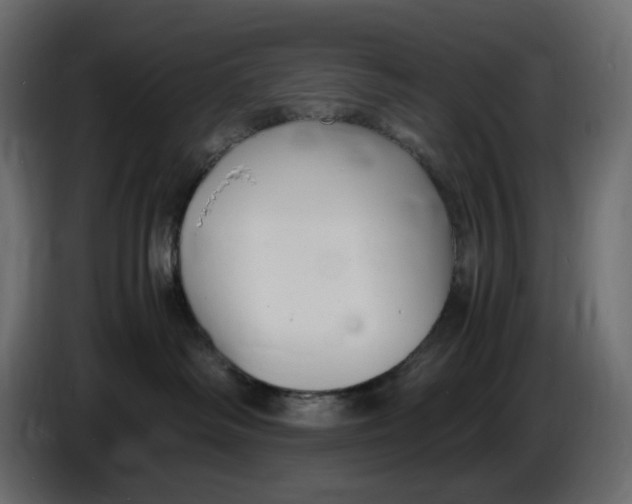 X0000086910334200705071309