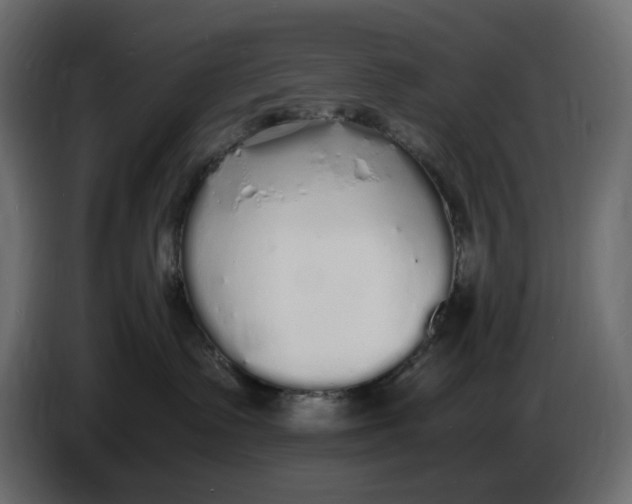 X0000086910335200705071309