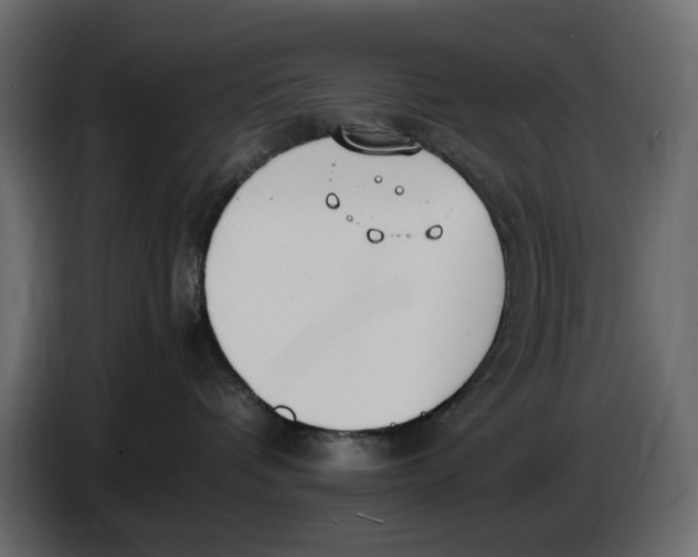 X0000086910336200705071309