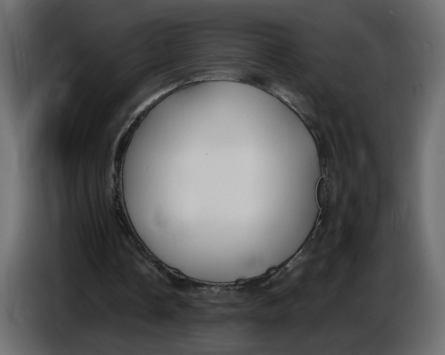 X0000086910338200705071308