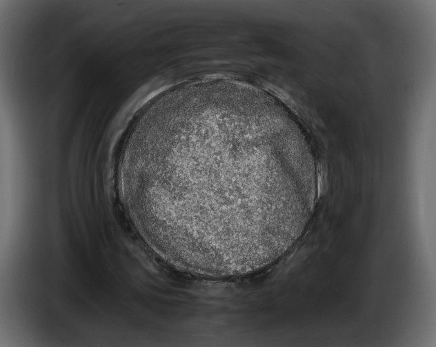 X0000086910339200705071308