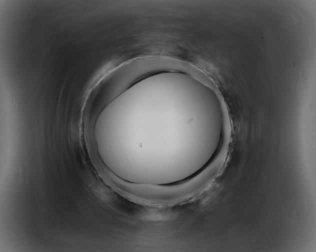 X0000086910340200705071308