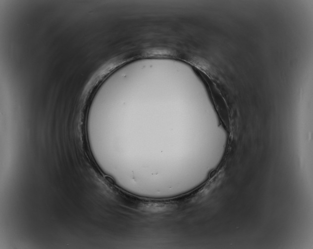 X0000086910341200705071308