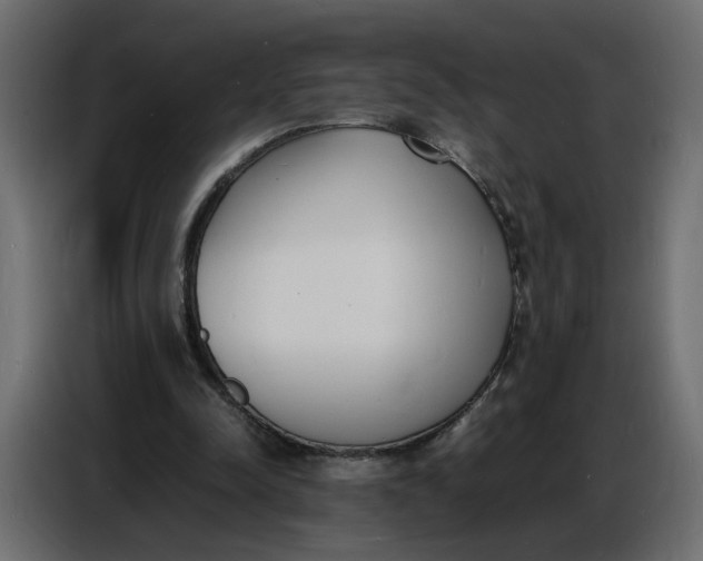 X0000086910342200705071308