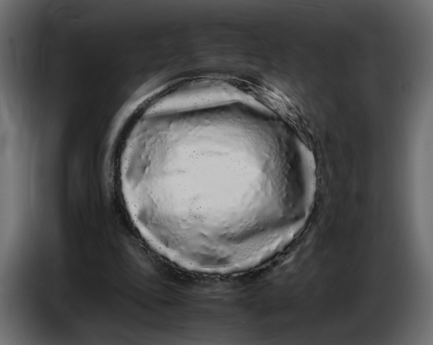 X0000086910343200705071308