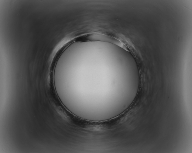 X0000086910344200705071308