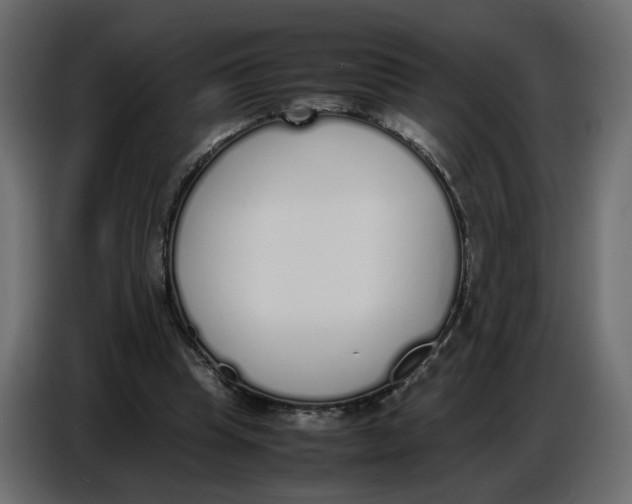 X0000086910345200705071308