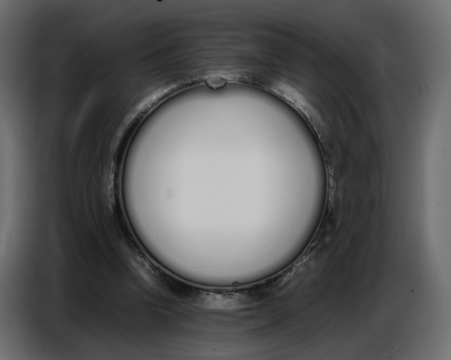 X0000086910346200705071308