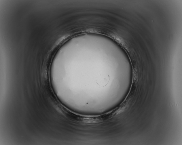 X0000086910347200705071308