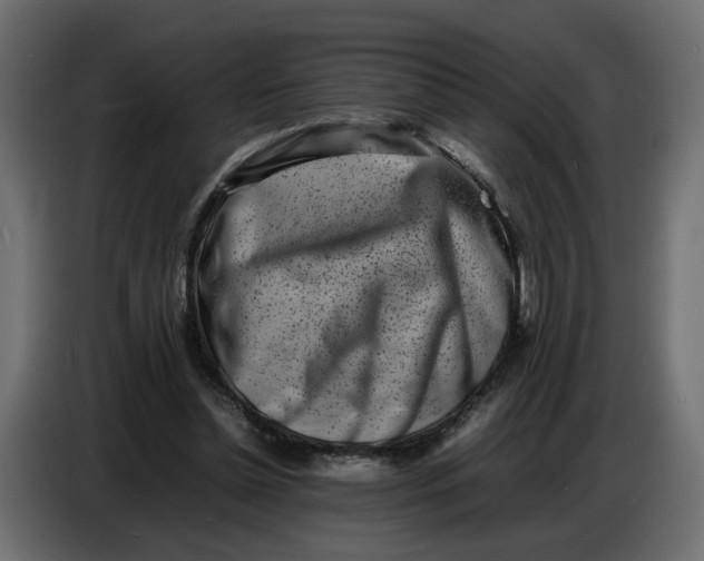 X0000086910348200705071308