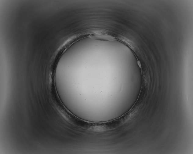 X0000086910350200705071308