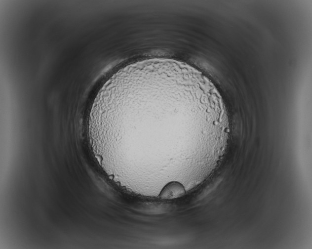 X0000086910351200705071308