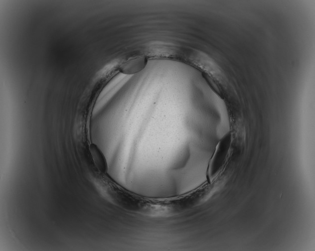 X0000086910352200705071308