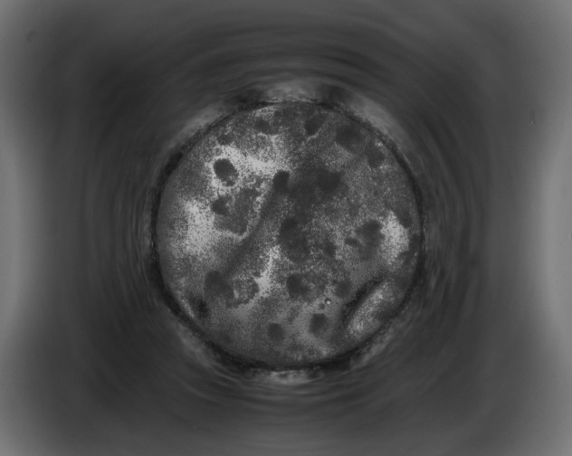 X0000086910353200705071308