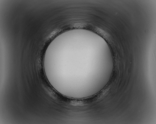 X0000086910354200705071308