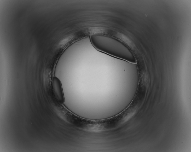 X0000086910356200705071308