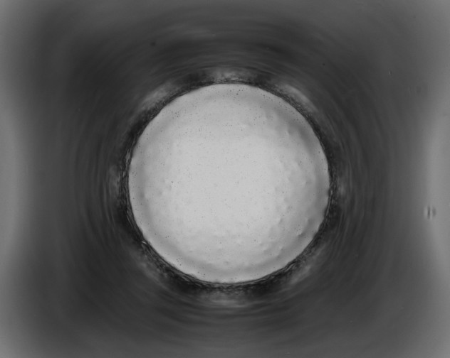 X0000086910357200705071308