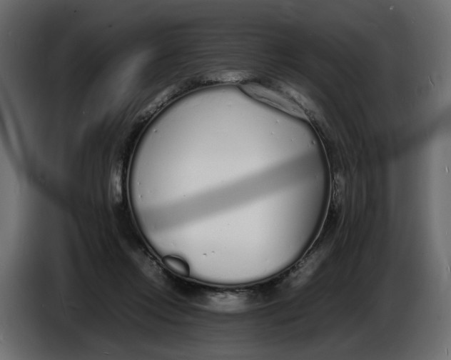 X0000086910358200705071308