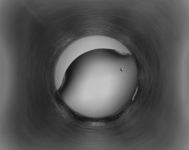 X0000086910360200705071308