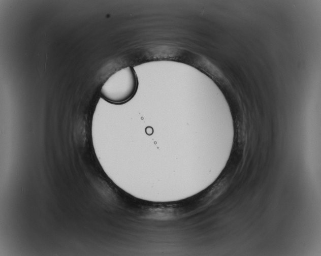 X0000086910362200705071308