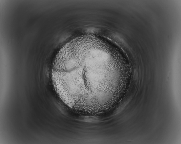 X0000086910363200705071308