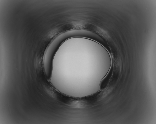 X0000086910364200705071308