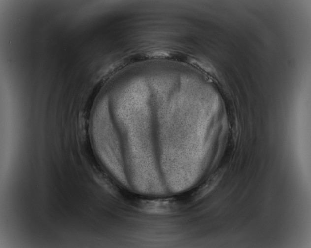 X0000086910366200705071308