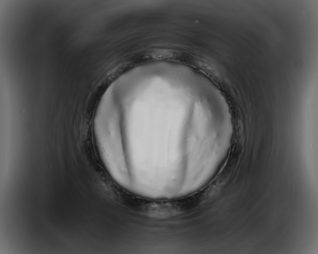 X0000086910367200705071308