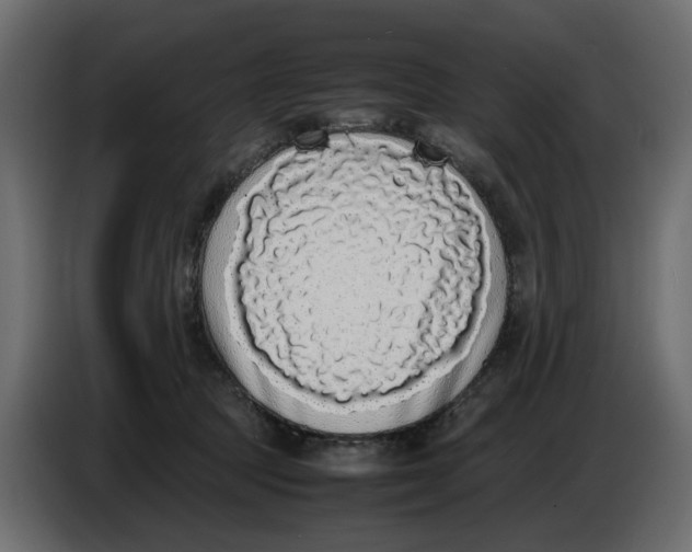 X0000086910369200705071308