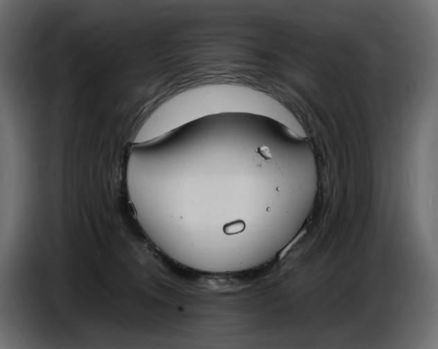 X0000086910372200705071309