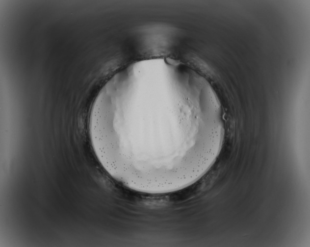 X0000086910373200705071309