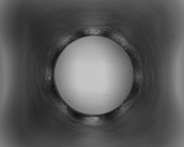 X0000086910374200705071309