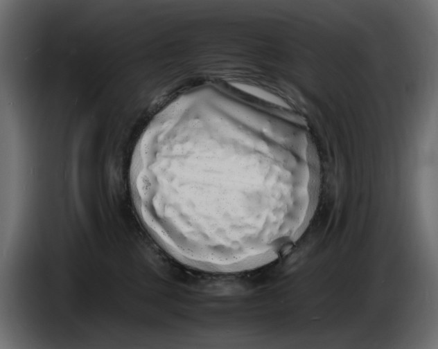 X0000086910377200705071309