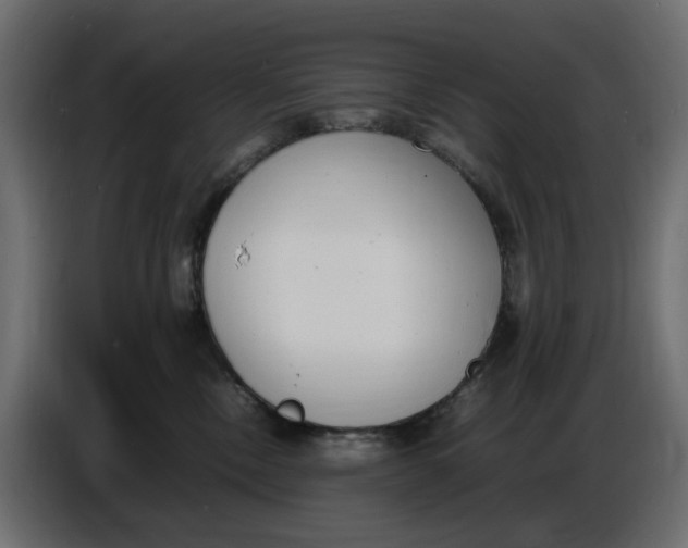 X0000086910378200705071309