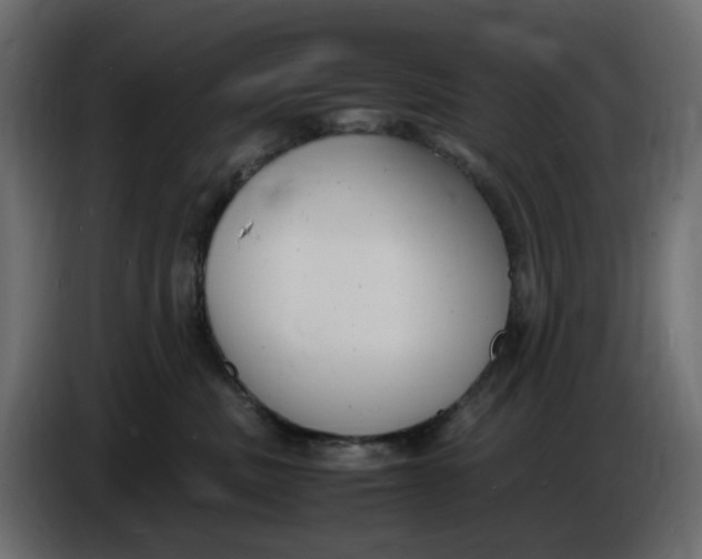 X0000086910379200705071309