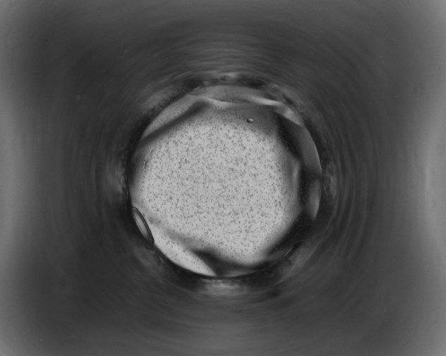 X0000086910380200705071309