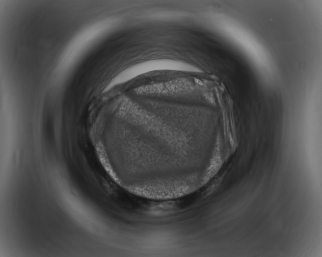 X0000086910382200705071309