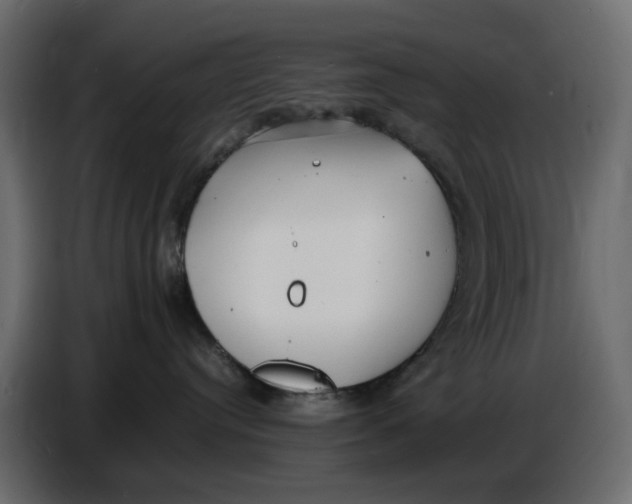 X0000086910384200705071309