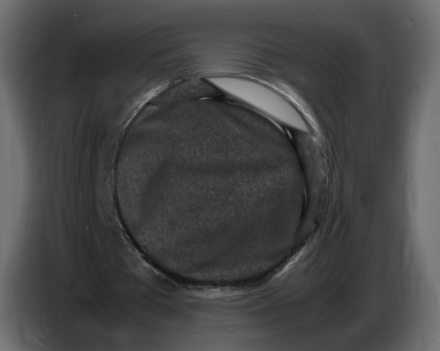 X0000086910385200705071308