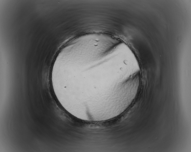 X0000086910386200705071308