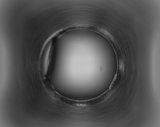 X0000086910388200705071308