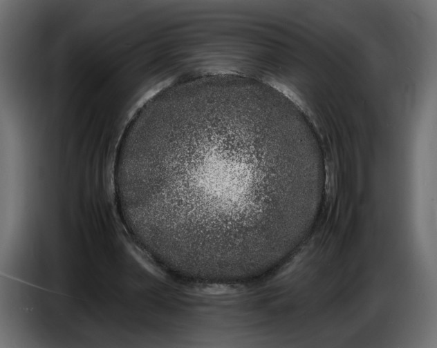 X0000086910390200705071308