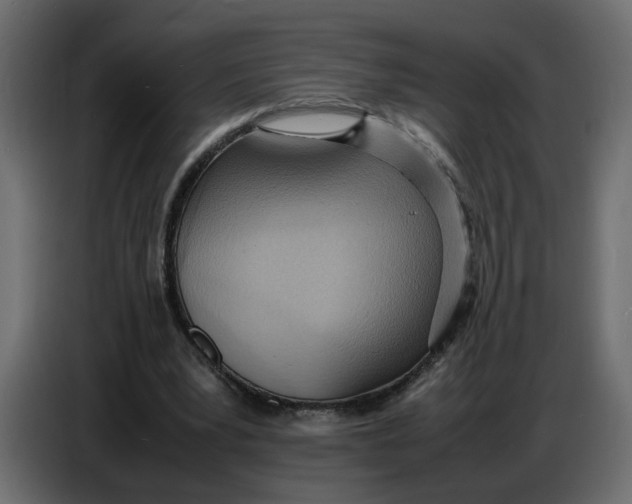 X0000086910391200705071308